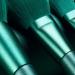 Super Soft 8-Piece Makeup Brush Set for Beginners - Travel-Friendly & Gift-Ready Green Makeup Tools - Buy Online on GoSupps.com