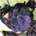 Natural Crystal Rough Natural Amethyst Angel Aura Quartz Crystal Cluster Gift - Buy Online on GoSupps.com