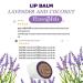 (Pack of 2) PLEARN Lip Balm Coconut Oil lavender scent15 g - Buy Online on GoSupps.com