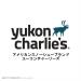 Yukon Charlie's Carbon Lite Flip Out Trekking Poles with Fast Lock Adjustment System - Includes Trekking and Snow Baskets - Buy Online on GoSupps.com