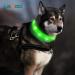 Laroo LED Dog Collar - USB Rechargeable Night Safety Band for Small & Medium Dogs - 3 Modes - Green 65cm x 2.5cm - Buy Online on GoSupps.com