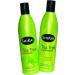 Shikai Tea Tree Shampoo - 12 fl oz (Pack of 2) | Natural Formula for Healthy Hair - Buy Online on GoSupps.com