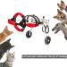 Adjustable Dog Wheelchair 2 Wheel Pet Wheelchair Assist Small Pets with Paralyzed Hind Limbs to Recover Their Mobility Easy Assemble & Light Weight (Size : XXS) - Buy Online on GoSupps.com
