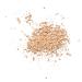 Benecos Natural Beauty Mineral Powder - Loose Mattifying Makeup | Vegan & Talc-Free - 10g (Pack of 2) - Buy Online on GoSupps.com