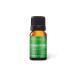 Aromatics International Transitions Essential Oil Blend 10ml | Aromatherapy Oil for Daily Balance