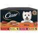 Cesar Wet Dog Food - Selection of Classics P t Multipack (24 x 150g Cups) - International Shipping Available - Buy Online on GoSupps.com