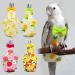 Buy Colorful Parrot Diaper with Fly - Cute Fruit & Flower Patterns for Small to Medium Birds | Washable Cockatoo Clothes - Buy Online on GoSupps.com