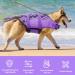 Emust Dog Life Jacket - Adjustable Floating Vest for Small/Medium/Large Dogs - Purple Mermaid with Rescue Handle for Water Safety - Buy Online on GoSupps.com