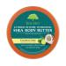 Tree Hut Coconut Lime Shea Body Butter 7oz | Intense Hydrating 24-Hour Moisturizer - Buy Online on GoSupps.com