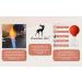 Original Lauscha 50mm Massage Glass Ball - Professional Medical Cupping Therapy Tool - Buy Online on GoSupps.com