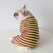 Colorful Bt Bear Stripe Pajamas for Bulldogs & Small Dogs | Soft Cotton One-Piece Costumes (XL Green/Purple) - Buy Online on GoSupps.com