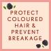 Aveeno Itchy Scalp Soothing & Color Protect Shampoo - Blackberry & Quinoa 354ml | Gentle Care for Colored Hair & Itchy Scalp - Buy Online on GoSupps.com