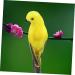 TOYANDONA Parrot Lifelike Vivid Ornament Figure Artificial Birds for Jungle Statue Garden Simulation Yellow 20x5cm Yellow - Buy Online on GoSupps.com