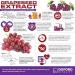 Bilberry Lutein & Grape Seed Vision Care Tablets | Eye Health & Antioxidant | Oxford Vitality - 2 Count - Buy Online on GoSupps.com