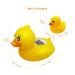 MSNUNA Baby Thermometer & Floating Duck Toy - Safe Bath Temperature Monitor - Buy Online on GoSupps.com
