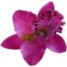 Orchid Flower Hair Clip - New Bridal Wedding Orchid Flower Hair Clip Barrette Women Girls Accessories 1pcs Purple - Buy Online on GoSupps.com