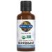 Garden of Life Essential Oil, Peppermint 1 fl oz (30 mL), USDA Organic & Pure, Undiluted & Non-GMO - for Diffuser, Aromatherapy, Meditation - Energizing, Invigorating, Refreshing, Uplifting 1 Fl Oz (Pack of 1)