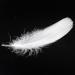 Coceca 500pcs White Feathers - Ideal for DIY Craft, Wedding & Party Decor - Buy Online on GoSupps.com