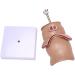 Anatomy Model: Human Rectal Hemorrhoid & Fistula Lesion Teaching Model - Buy Online on GoSupps.com