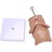 Anatomy Model: Human Rectal Lesion Fistula & Fissure Pathology - Ideal for Teaching | International Shipping - Buy Online on GoSupps.com