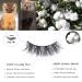 Shop Luxurious Faux Mink False Eyelashes - 5 Pairs 18mm-25mm Handmade Reusable Fluffy Cat Eye Look - Buy Online on GoSupps.com