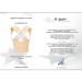 JXZXC Adjustable Straightener Upper Spine Support Back Brace Posture Corrector 1 L - Buy Online on GoSupps.com