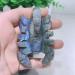 Crystal Rough 1pcs Natural Blue Labradorite Hand Crved Scorpion Polished Crystal Stones for Sale - Buy Online on GoSupps.com