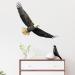 Ambitious Bald Eagle Wall Stickers - Stunning Flying Decals for Bedroom & Office Decor - Buy Online on GoSupps.com
