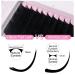Matte Mink Flat Eyelash Extensions - 0.25mm Ellipse Individual Lashes for Professional Salons | Qeelasee - 8-15mm DD - Buy Online on GoSupps.com