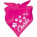 Little Fratz Dog Triangle Scarf (Colour: pink) (Size 2 (68 cm)) Name of the dog 68 x 20 pink