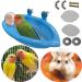 Bird Bath Cage Accessory with Hanging Mirror - Small Pet Water Shower and Feeder for Parakeets, Cockatiels, and Budgies - Buy Online on GoSupps.com