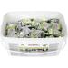 Rational Green Active Cleaner Tablet iCombi Tub (56.01.535) - Buy Online on GoSupps.com