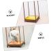 ORFOFE Box Wood Carving Glass Cover clear display stand buddha display stand Display Accessory toy shelf 17x12cm Assorted Color - Buy Online on GoSupps.com