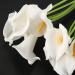Buy PHTOIT Calla Lily 10 Head Latex Real Touch KC51 White - Premium Quality Artificial Flowers for International Shipping - Buy Online on GoSupps.com