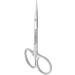 Cuticle Scissors Manicure Staleks Exclusive Nail Pedicure SX-21/1 - Buy Online on GoSupps.com