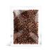 Cedar Nut Pine Nuts from Siberia - Unpeeled 500g | Premium Quality International Shipping - Buy Online on GoSupps.com