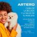 Artero Baby Shampoo 100 ml - Buy Online on GoSupps.com