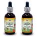 Natural Immune Support Supplement. Tincture of: Quina OSHA Echinacea Lomatium Forsythia Cat's Claw PAU d Arco Turmeric Umckaloabo Ginseng Bupleurum and Other Herbs 2x2 oz Alcohol-Based 4 Fl Oz (Pack of 1)