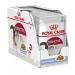 Royal Canin Wet Cat Food Instinctive Jelly Pouch 85 g (Pack of 12)