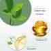 Green Clay Purifying Stick - Cleansing & Moisturizing Facial Cleanser | Blackhead Remover with Green Tea - Buy Online on GoSupps.com