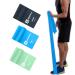 A AZURELIFE Resistance Bands Set, Professional Non-Latex Elastic Exercise Bands, 5 ft. Long Stretch Bands for Physical Therapy, Yoga, Pilates, Rehab, at-Home or The Gym Workouts, Strength Training Green, Blue, Gray