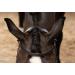 PresTeq FaySport Snaffle Bridle - Black Full Size | Premium Equestrian Gear for International Shipping - Buy Online on GoSupps.com