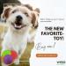 Shop WEPO Dog Frisbee Set - 3 Durable Rubber Toys for Small Dogs - Ideal for Land & Water - 15cm - Red/Purple/Green - Buy Online on GoSupps.com