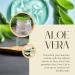 mGanna Pure Aloe Vera Gel 7 Oz / 200 g | For Moisturizing Skin and Hair Care - Buy Online on GoSupps.com