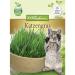 Cat grass seeds grass for cats and tomcats