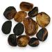 Whole Dried Kola Nuts 85g - 1 95Kg Premium Quality Cola Acuminata (85 Grams) - Buy Online on GoSupps.com