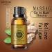 Ibea Filly 10 ml Lavender Oil & Ginger Slimming Massage Oil for Lymphatic Drainage - Effective Abdominal Weight Loss Therapy - Buy Online on GoSupps.com