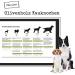 Chewies Chewing Bone Dog Toys - 100% Natural Olive Wood | Durable & Safe | Size S for Dogs up to 10 kg - Buy Online on GoSupps.com