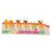Teeth model dental caries development model portable model for dental teeth for the dental course - overall process of dental care development