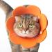 Tecatty Pets Calant crauses anti-delicious neck collar cat adjustable from 14-35 cm lightweight protective collar elizabethan collar for cats (m orange) m orange